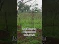 land on sale zaheerabad