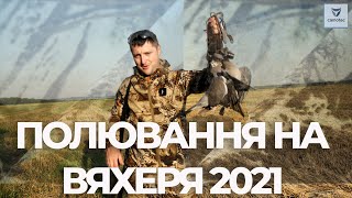 Полювання на вяхиря 2021