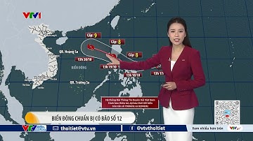 Dự báo thời tiết 19h45 - 17/10/2025 | Biển Đông chuẩn bị có bão số 12 | VTVWDB