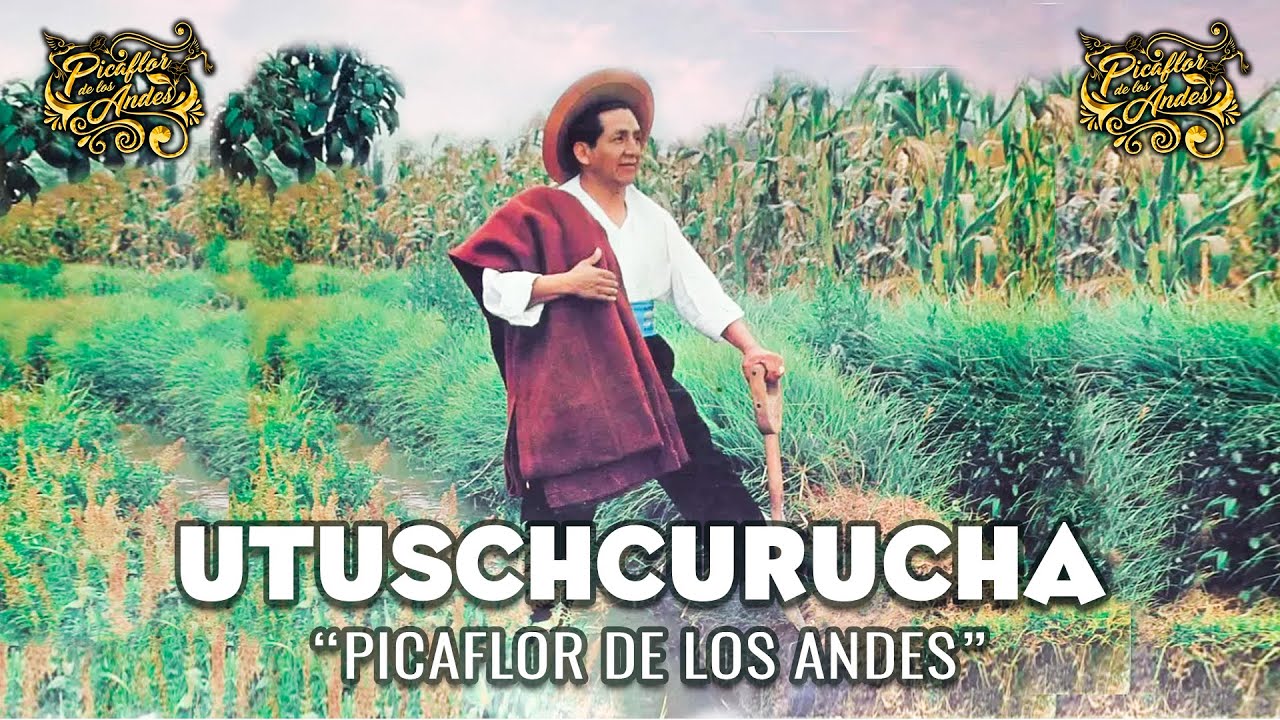 Watch Picaflor de los Andes - UTUSCHCURUCHA on YouTube Watch Picaflor de los Andes - UTUSCHCURUCHA on YouTube