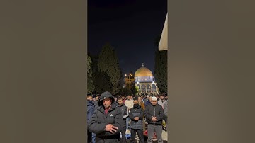 صوت الأقصى في رمضان: تراويح الليلة الرابعة مع الشيخ محمد مصطفى محاميد #قرآن #الأقصى #تراويح #تلاوات