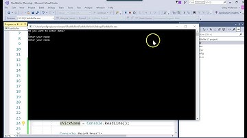 IS303 C# Flush Buffer