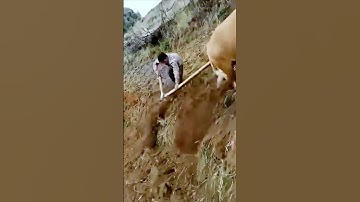 The process of cultivating land = good methods and tools can improve efficiency