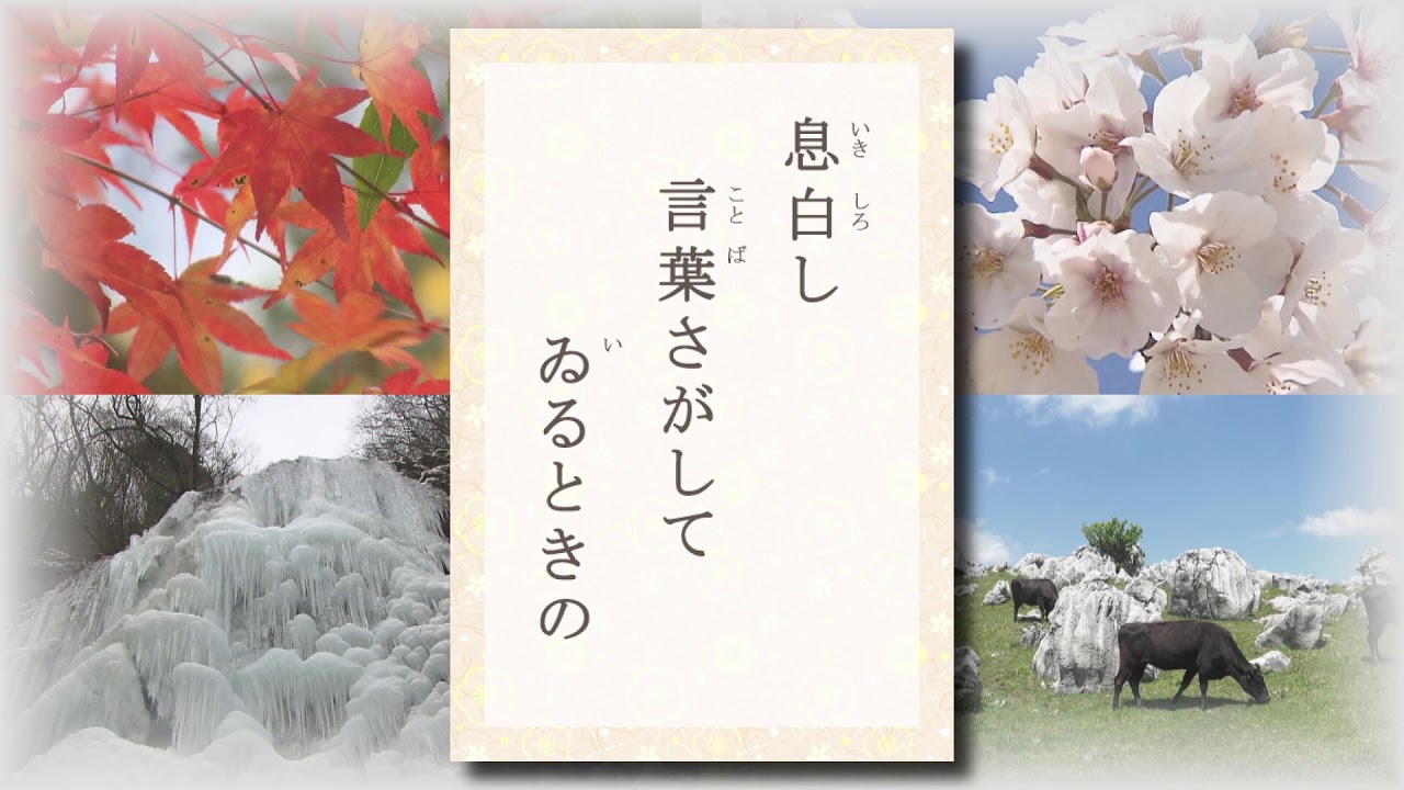 テレビ愛媛 きょうの俳句 息白し言葉探してゐるときの 高田正子作 17年12月18日放送 No 235 Youtube