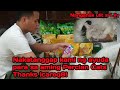 Ayuda para sa aming Persian Cats | giving treats at nanganak na si lily