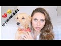 Storytime: Cómo consegui a mi perro en un Walmart? |Salma Gayro💋