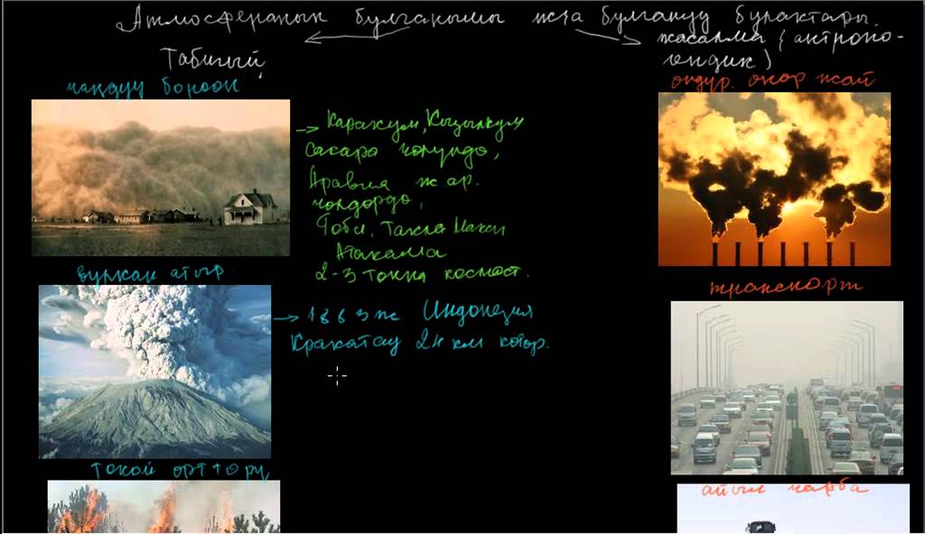 Реферат Экологиялы? Проблемалар