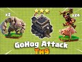 Th9 GoHog attack strategy | Th9 Gohobo Attack | Th9 Mass Hog Riders Attack Strategy | Th9 Hogs - Coc