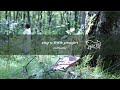 say a little prayer(forest ver.) / mitsumi