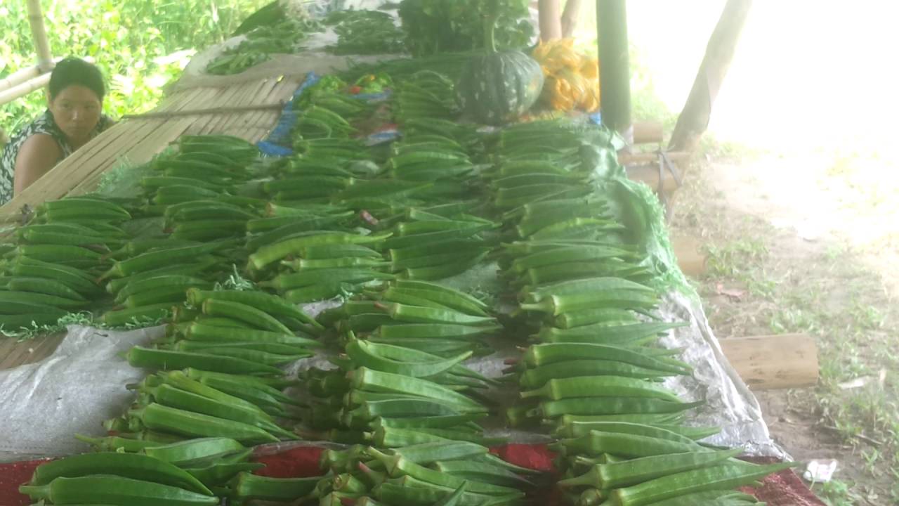 Himalayan Roadside Market At Nyorch Village Naharlagun Arunachal Pradesh