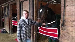 Thoroughbred Race Horse Groom Melissa Triantafyllou