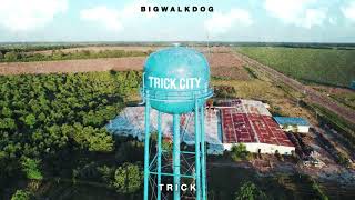 BigWalkDog - Trick [Official Audio]