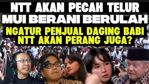NTT AKAN PECAH TELUR!! MUI NTT BERULAH SIAP PERANG GARA GARA DAGING BABI