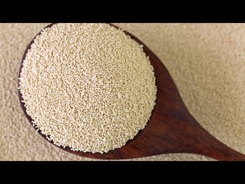 Video: Everything About Yeast