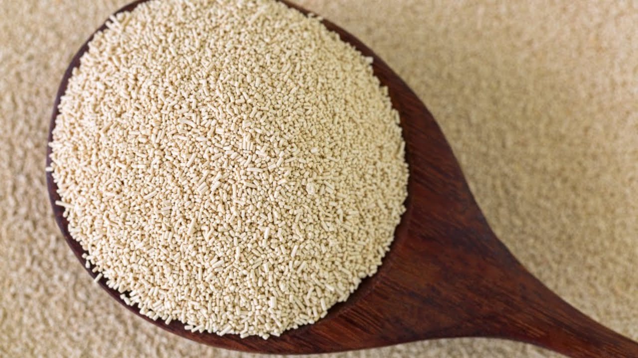 Here'S Everything You Need To Know About Yeast