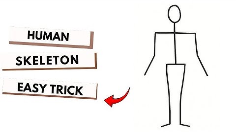 Skeleton drawing | how to draw a skeleton | human skeleton drawing | skeleton diagram 