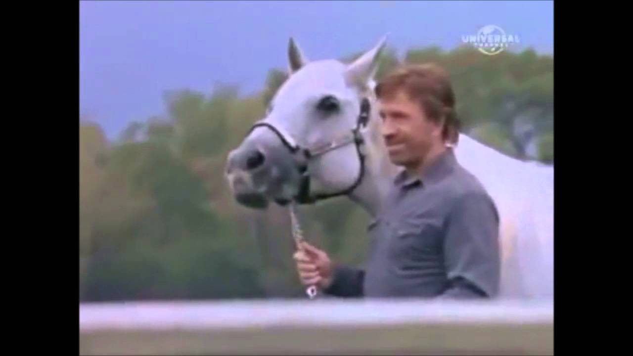 WALKER TEXAS RANGER Walker & Alex ♥ Survivors - YouTube Music