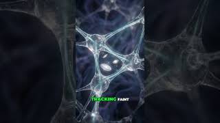 James Webb Space Telescope Reveals the Universe’s Hidden Invisible Architecture After the Big Bang