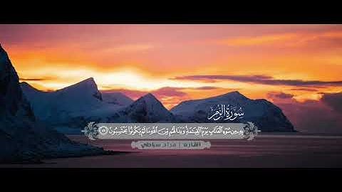 ما تيسر من سورة الزمر || القارئ مراد سباطي