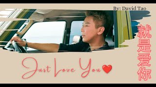 【就是爱你 - 陶喆】JUST LOVE YOU - DAVID TAO / فقط احبك / Chinese, Pinyin, English, Arabic Lyrics
