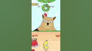 Cat Escape Hide & Seek Level 24 - Can You Find the Sneaky Kitty? 🐾😺 | Android Gameplay!