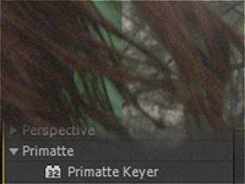 primatte keyer 6 free download