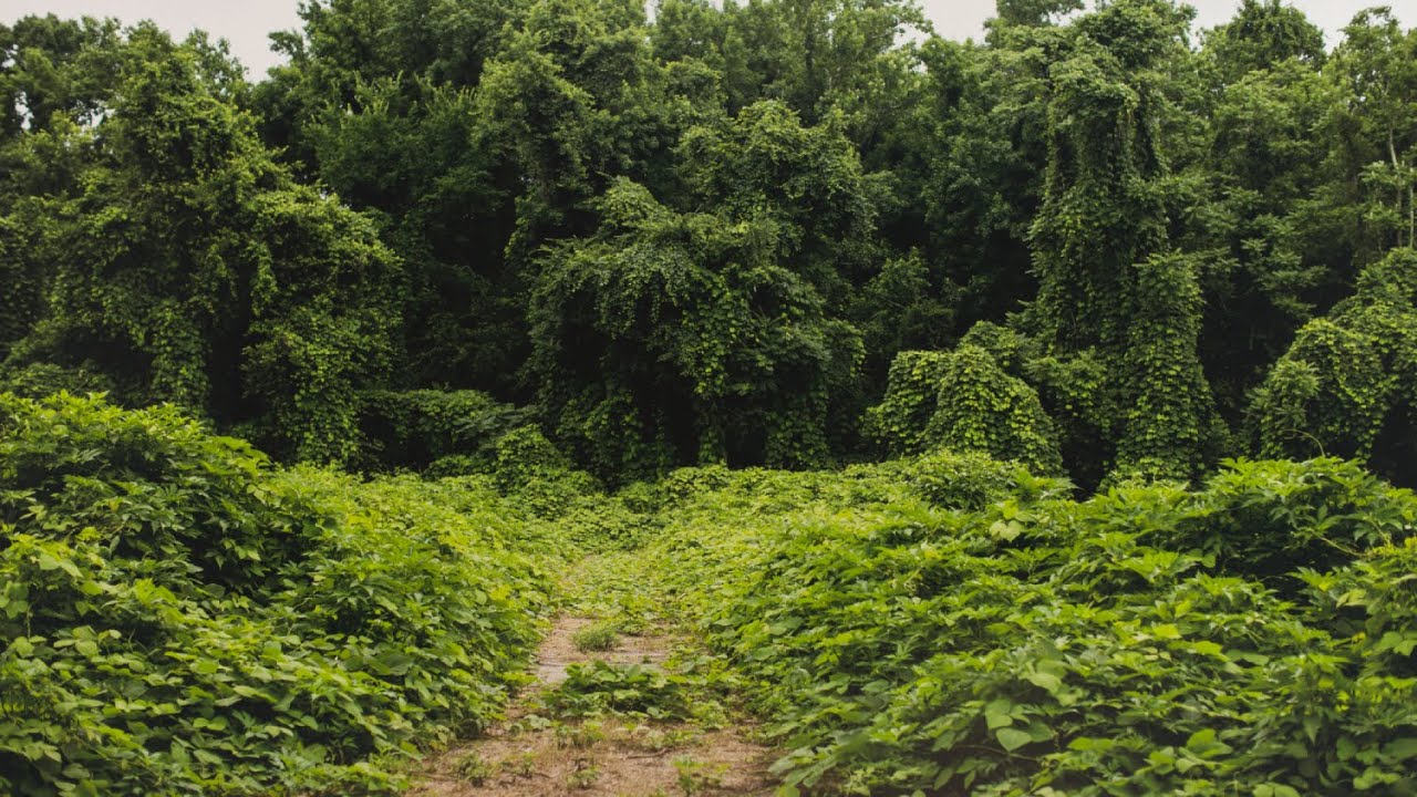 3 in 30 | Photography & Place