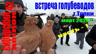 Встреча голубеводов.март 2024г.Топки(часть-1)