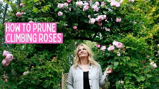HOW TO PRUNE CLIMBING ROSES
