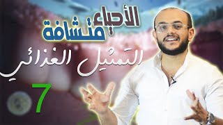 التمثيل الغذائي والامعاء والغليظة واساسيات النقل ف الانسان - احياء تانية ثانوي (7)