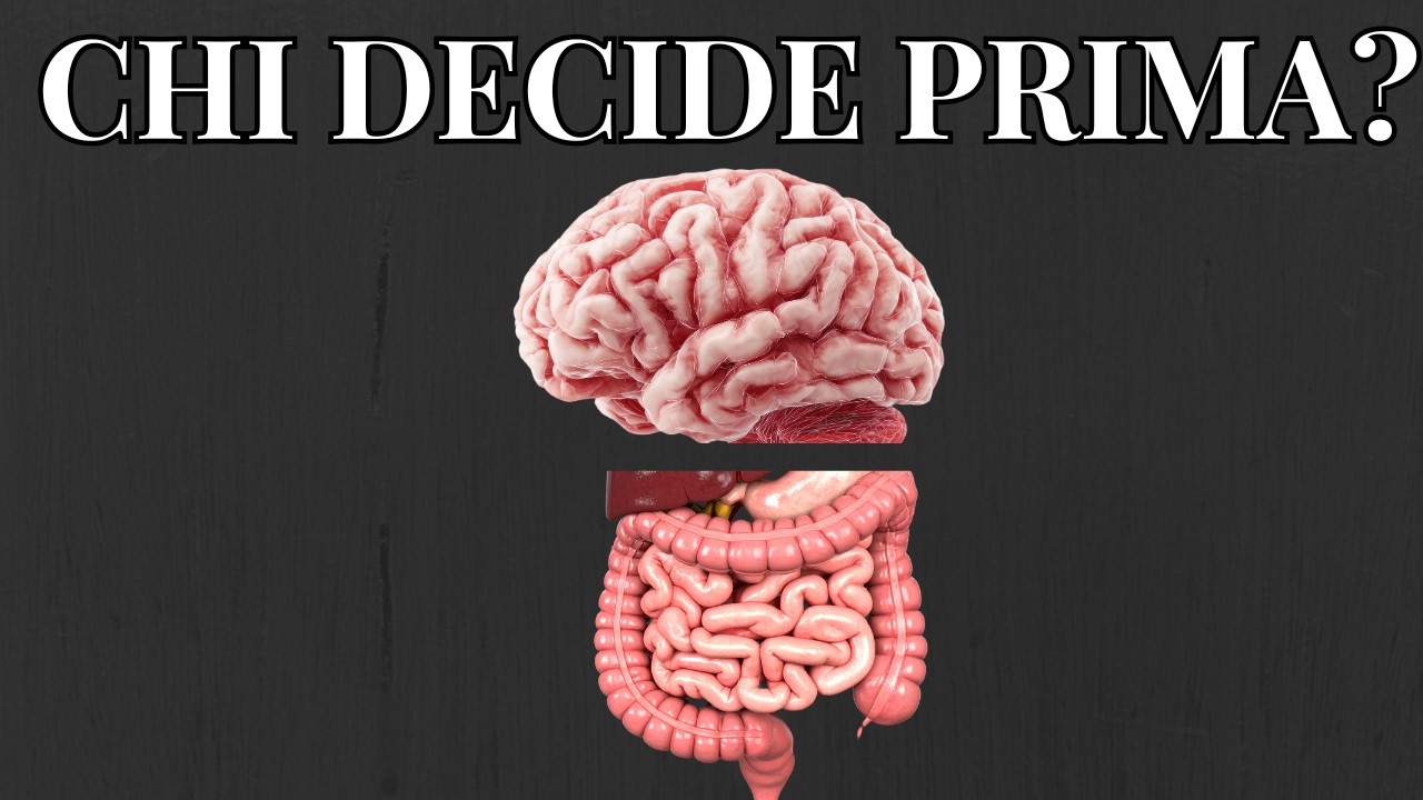 Intuizione: La Scienza Dietro la Sensazione “Di Pancia”