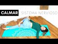 Yoga Anti-Estrés - Práctica de yoga para calmar el Sistema Nervioso - Dale Yoga A Tu Vida