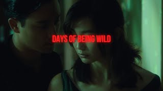 Understanding Days Of Being Wild 1990 Life Goes On
