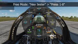 FREE Voice Command Profile for DCS: F-14B's Jester with GAVPI