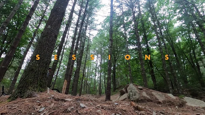 Wompatuck State Park: July