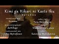 『KanaChi x duVillage x String Quartet』 Kimi ga Hikari ni Kaete Iku - Acoustic Ver. ~ Kalafina