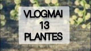 VLOGMAI # 13 PLANTES