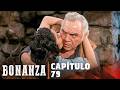 Bonanza | Capitulo 79  – Me Ama Me No | Completo en Español