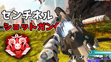 センチネルはショットガンだった【APEX LEGENDS】