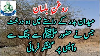 Maqam e Badar | Roghan Bil Lisan | Famous Tree | Madina Live 2020