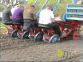 Lauwers hsp high speed planter transplanter  plantmachine 4 row  duijndam machines