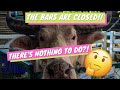 PATTAYA | The Bars Are Closed!! There's Nothing To Do?!🤔