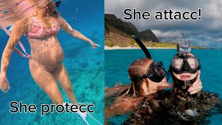 Britt helped me clean the ocean while 9 months pregnant
