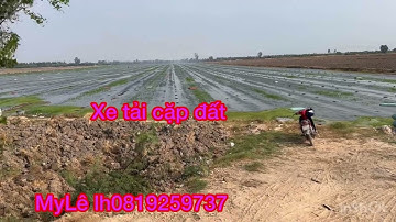 Cần bán nhanh DT 6 mẫu gia 130 triệu 1 công thuộc huyện mộc hóa tỉnh Long An