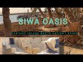 Solo Indian Girl in Magical Siwa Oasis Egypt - Day 1