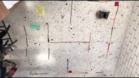 VIDEO DE PIA DE ROGIC