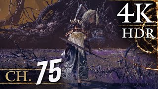 Elden Ring - [4K/60fps HDR] (Platinum, Exploration) Walkthrough Part 75 - Fia's Champion