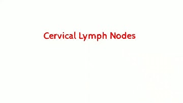 Cervical Lymph Nodes Levels in 10 minutes!! Classification made easy!!!