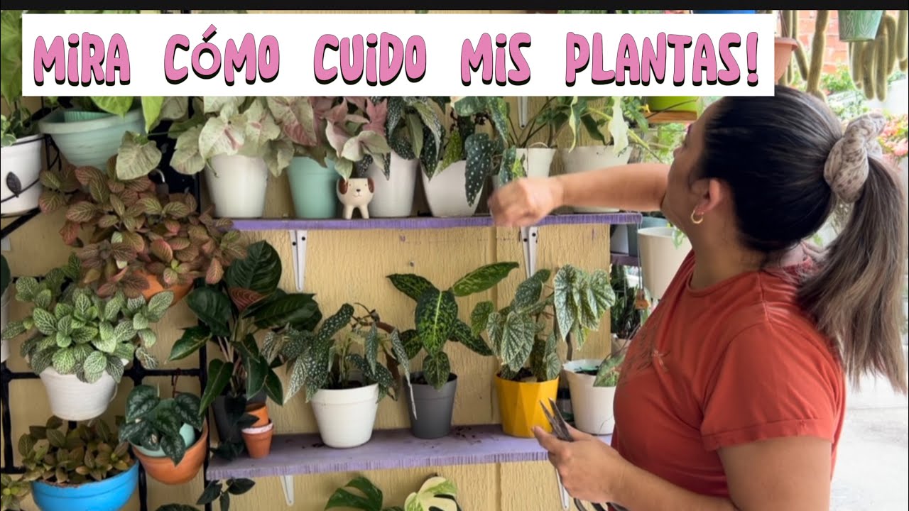 Así multiplico mis plantas y limpio mi jardín en un solo día