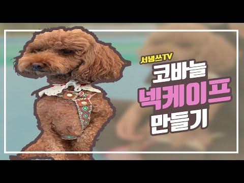 코바늘 넥케이프 만들기/★초보자도 쉽게 따라서 만들 수 있는 코바늘 넥케이프★/핸드메이드 강아지 넥케이프 만들기